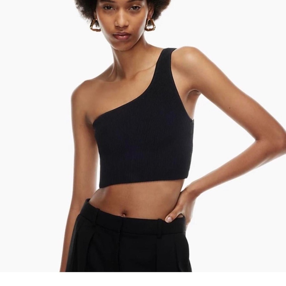 Aritzia Babaton sculpt knit crop top